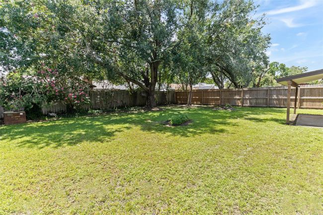 Backyard | Image 26
