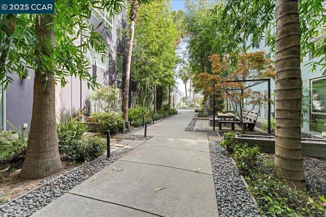 UNIT-365 - 1201 Pine St, Condo with 1 bedrooms, 1 bathrooms and 1 parking in Oakland CA | Image 25