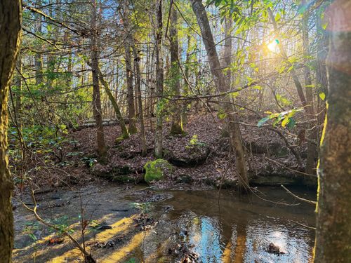 9999 Gibson Lane, Williamsburg, KY, 40769 | Card Image