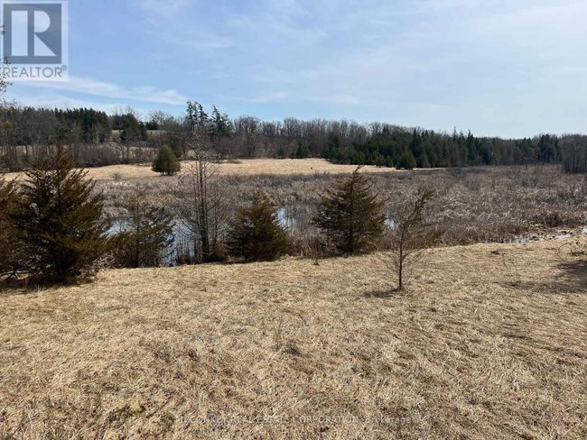 00 County Rd 13 E, Home with 0 bedrooms, 0 bathrooms and null parking in Hastings ON | Image 5