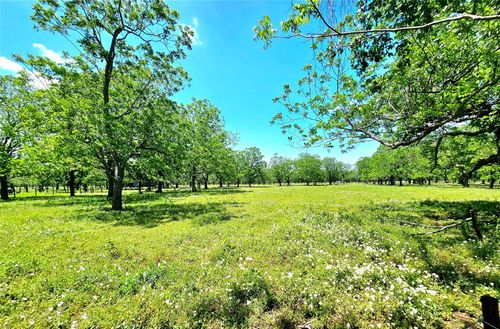0 River Glen Dr, Boling, TX, 77420 | Card Image