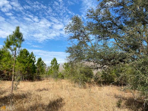 08 Ga Highway 200, Damascus, GA, 39841-7030 | Card Image