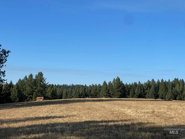 181 Harris Ridge Loop, House other with 3 bedrooms, 3 bathrooms and 2 parking in Kooskia ID | Image 4