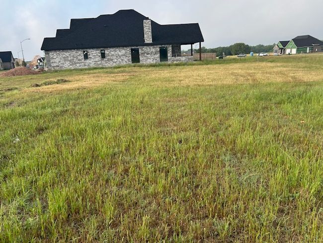 View of yard | Image 5