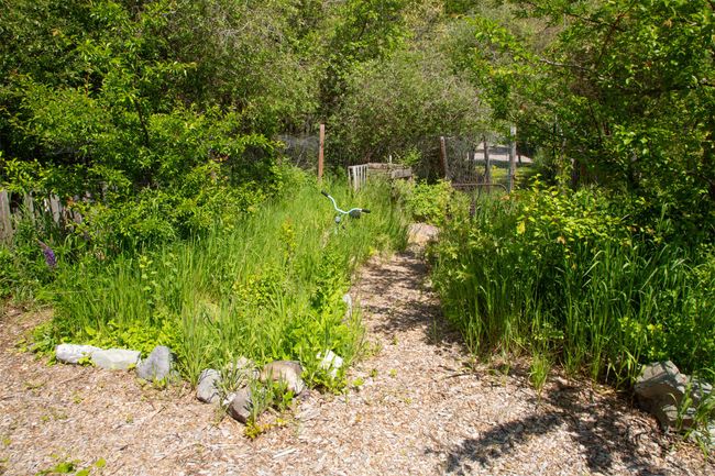 View of yard | Image 52