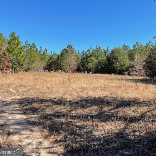 121+/- ACRES Pineville Road, Buena Vista, GA, 31803 | Card Image