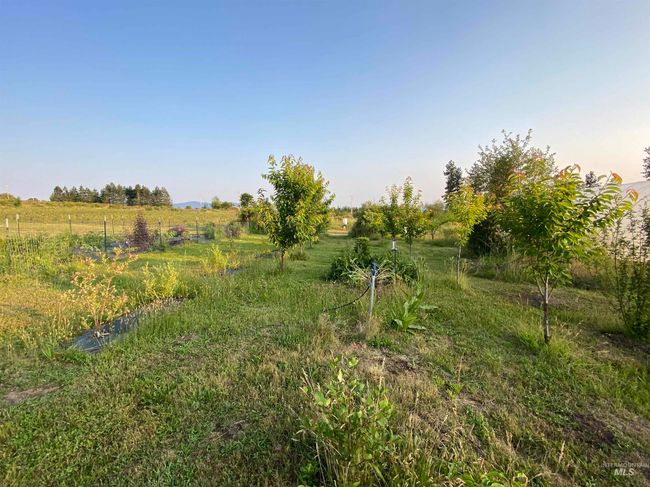 View of yard with a view of rural / pastoral area | Image 40