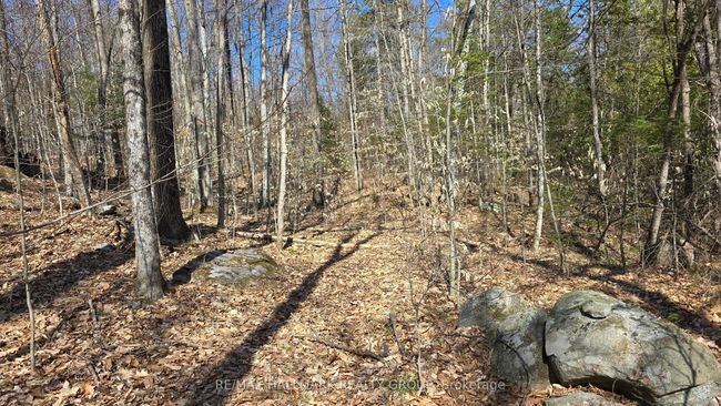 0000 Calabogie Rd, Home with 0 bedrooms, 0 bathrooms and null parking in Burnstown ON | Image 10