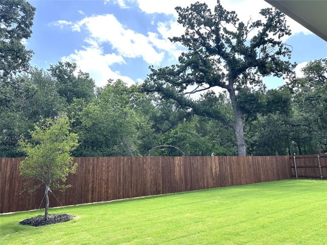 View of fenced backyard | Image 24