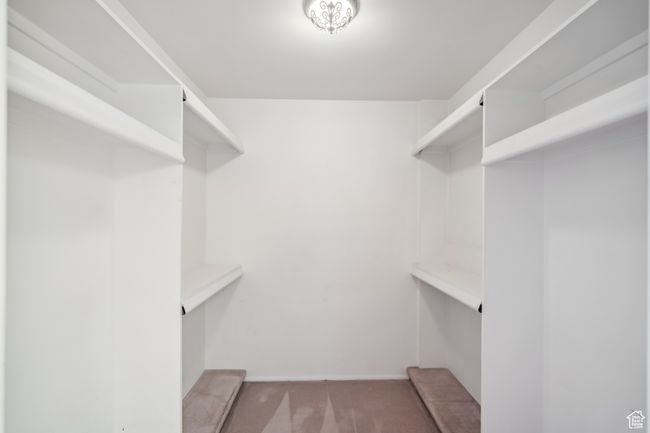 t | Image 13