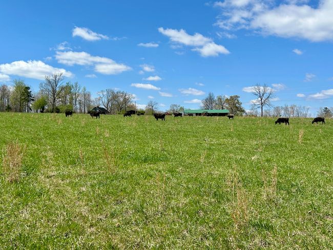 428 Dick Wilson Rd, Home with 0 bedrooms, 0 bathrooms and null parking in Strunk KY | Image 5