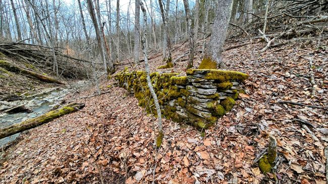 5900 S County Road 700 E, Home with 0 bedrooms, 0 bathrooms and null parking in Dillsboro IN | Image 25