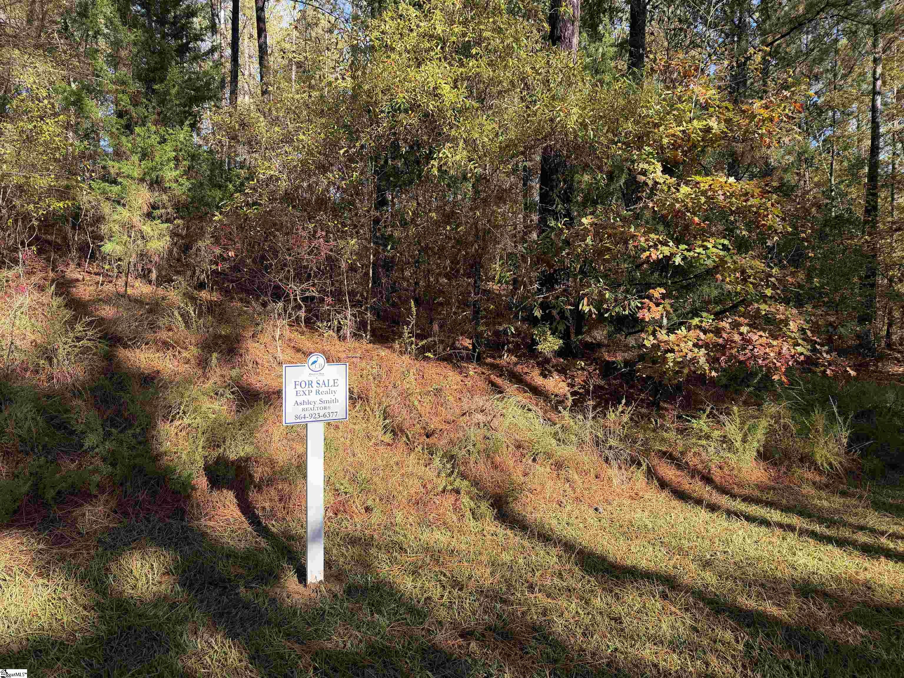 Land in Cross Hill 3