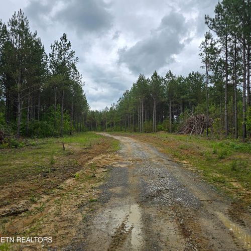 15 Holly Woods, Robbins, TN, 37852 | Card Image