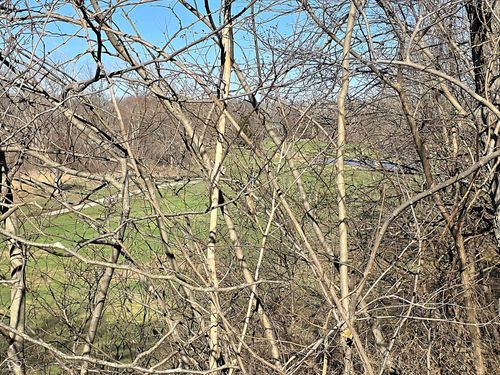 148 Sugarwood Ln, Avon, IN, 46123-8215 | Card Image