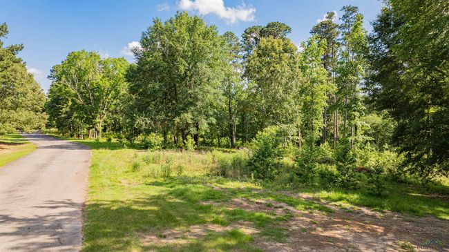 3 Bridle Path, Home with 0 bedrooms, 0 bathrooms and null parking in Longview TX | Image 13