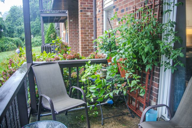 APT-3 - 25 Balance Rock Rd, Condo with 2 bedrooms, 1 bathrooms and null parking in Seymour CT | Image 11