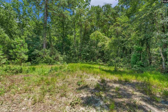 0000 N Brewington Rd, Home with 0 bedrooms, 0 bathrooms and null parking in Manning SC | Image 71