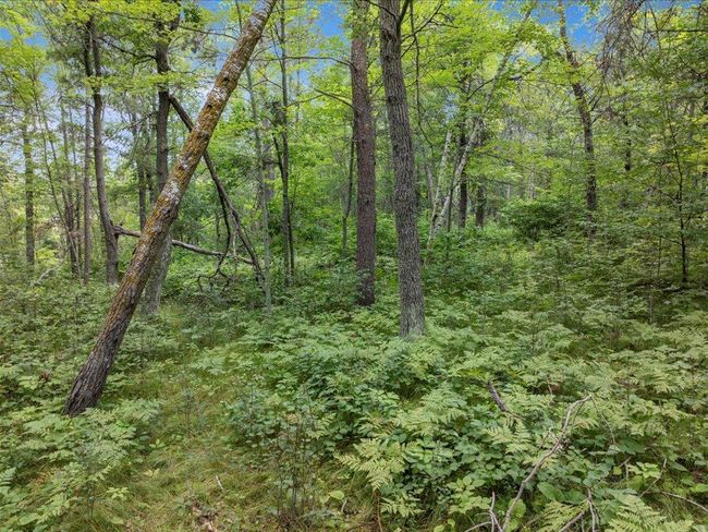 11 Catskill Drive, Home with 0 bedrooms, 0 bathrooms and null parking in Breezy Point MN | Image 4