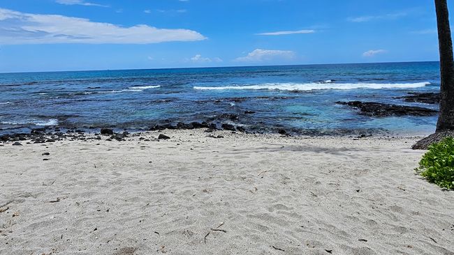 Beach area adjacent to the complex | Image 13