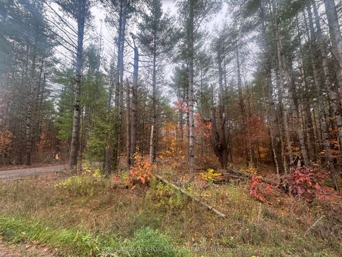 945 Shanick Rd, Marmora, ON, K0K2M0 | Card Image