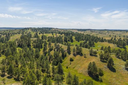 499 Government Canyon Rd, Hulett, WY, 82720-9622 | Card Image