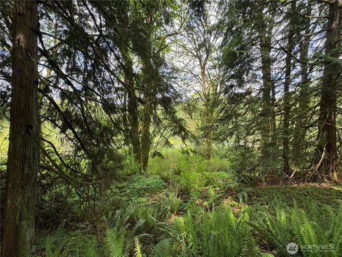 16113 Ne 124th St, Redmond, WA, 98052 | Card Image