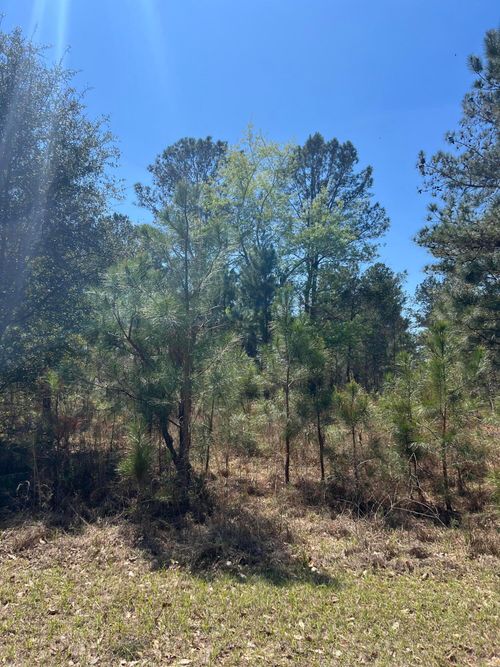 708 Kingstown Road, Sardis, GA, 30456 | Card Image