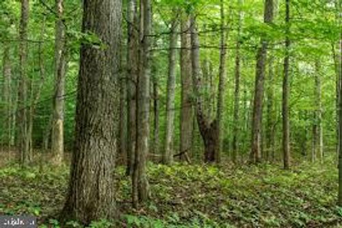 3964 Hidden Valley Lane, MARSHALL, VA, 20115 | Card Image