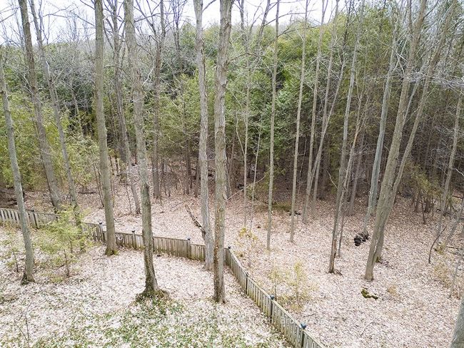 116 Glenwood Pl, House other with 3 bedrooms, 3 bathrooms and 4 parking in Markdale ON | Image 12
