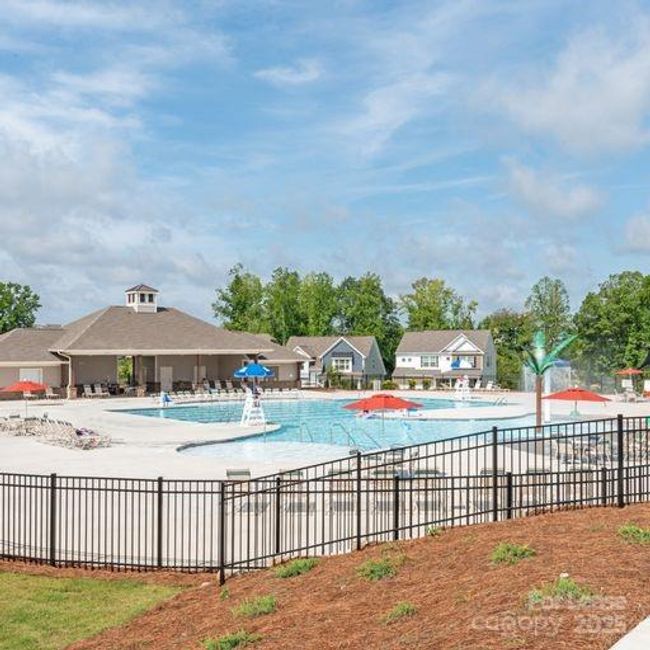 Pool 1 | Image 22