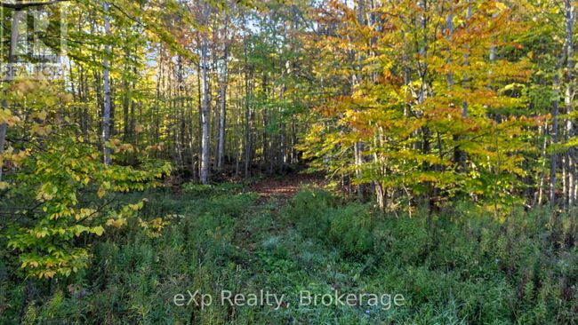 PTLT 17 Grey Road 17, Home with 0 bedrooms, 0 bathrooms and null parking in Georgian Bluffs ON | Image 14