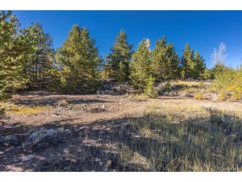  Tbd, Leadville, CO, 80461 | Card Image