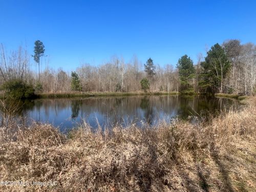 2104 Highway 51 Se, Bogue Chitto, MS, 39629-4151 | Card Image