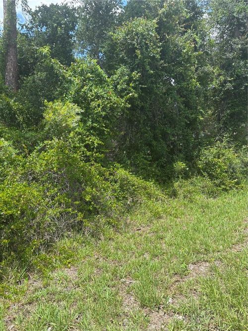 00 Se 186th Ct, OCKLAWAHA, FL, 32179 | Card Image