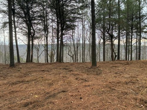 4690 Split Rail Way, Guild, TN, 37340 | Card Image