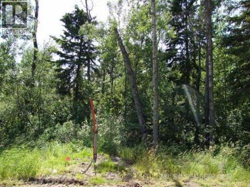15 Lakeside Drive, Perch Lake, SK, S0M2G0 | Card Image