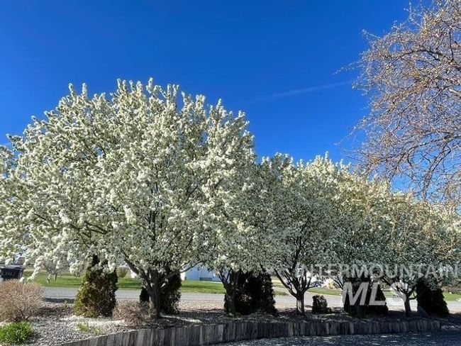 2554 E 3708 N, House other with 5 bedrooms, 4 bathrooms and 2 parking in Twin Falls ID | Image 5