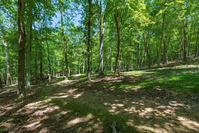 58501 Us Highway 50, Home with 0 bedrooms, 0 bathrooms and null parking in Mc Arthur OH | Image 60