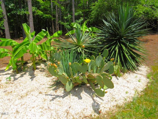 Landscaping | Image 50