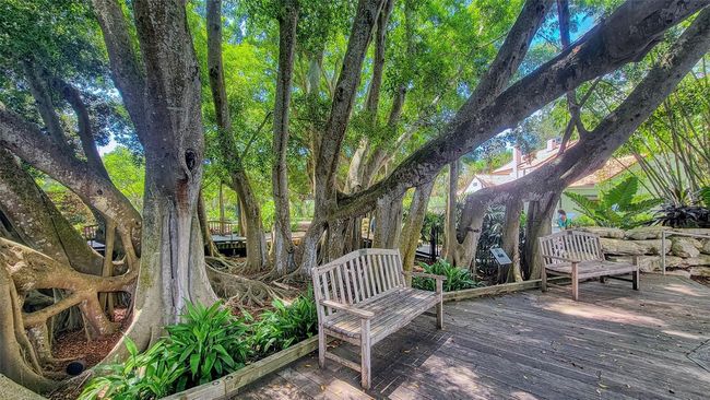 APT-310 - 835 S Osprey Ave, Condo with 2 bedrooms, 2 bathrooms and null parking in SARASOTA FL | Image 87