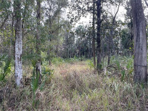 11106 W Townsend Ln, Homosassa, FL, 34448-5052 | Card Image