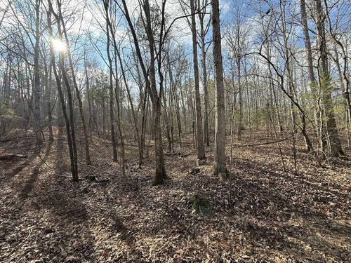 000 Ottofy Way, Eminence, MO, 65466 | Card Image