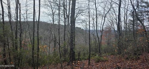 786 Eastridge Pass, Monterey, TN, 38574-5623 | Card Image