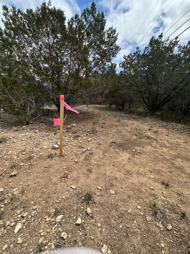 Back left corner of lot | Image 6