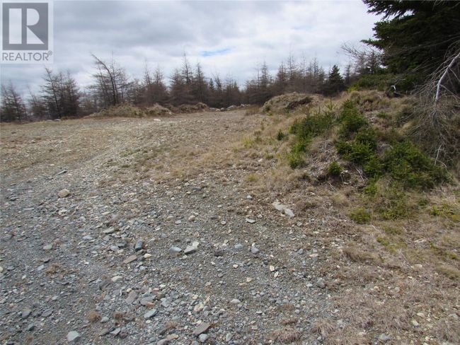 45 New Line Road, Home with 0 bedrooms, 0 bathrooms and null parking in Colliers NL | Image 37