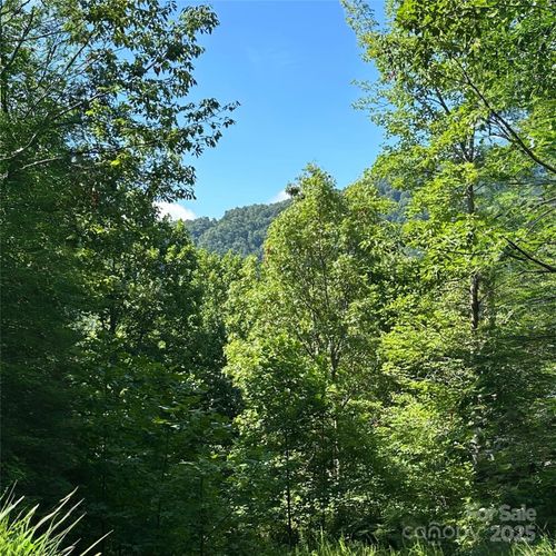 t-84-33 Nuthatch Ln, Black Mountain, NC, 28711-0509 | Card Image