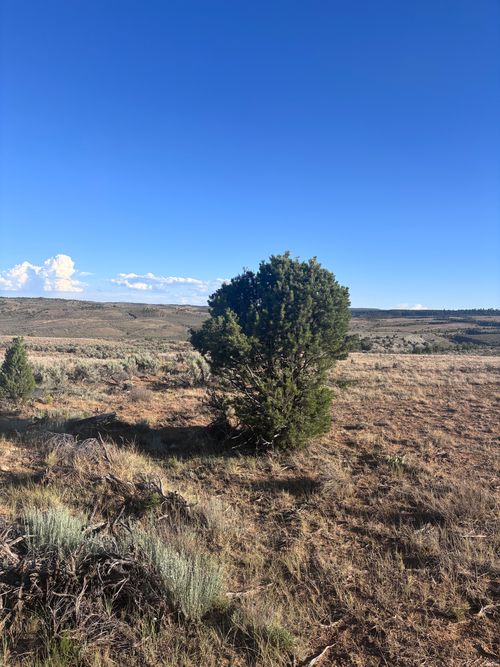 31-31 Lot Rancho Del Vado, Tierra Amarilla, NM, 87575 | Card Image