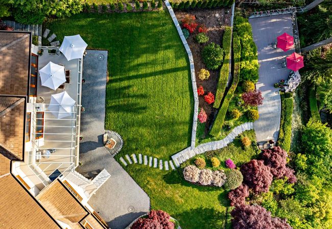 Bird's eye view | Image 33