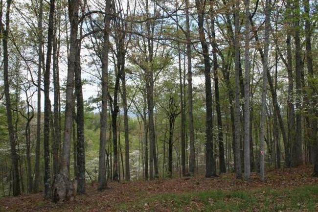 953 Cliffs Vista Pkwy, Home with 0 bedrooms, 0 bathrooms and null parking in Six Mile SC | Image 4